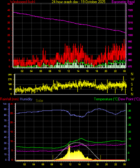 24 Hour Graph for Day 19