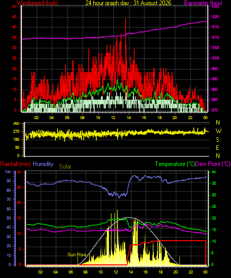 24 Hour Graph for Day 31