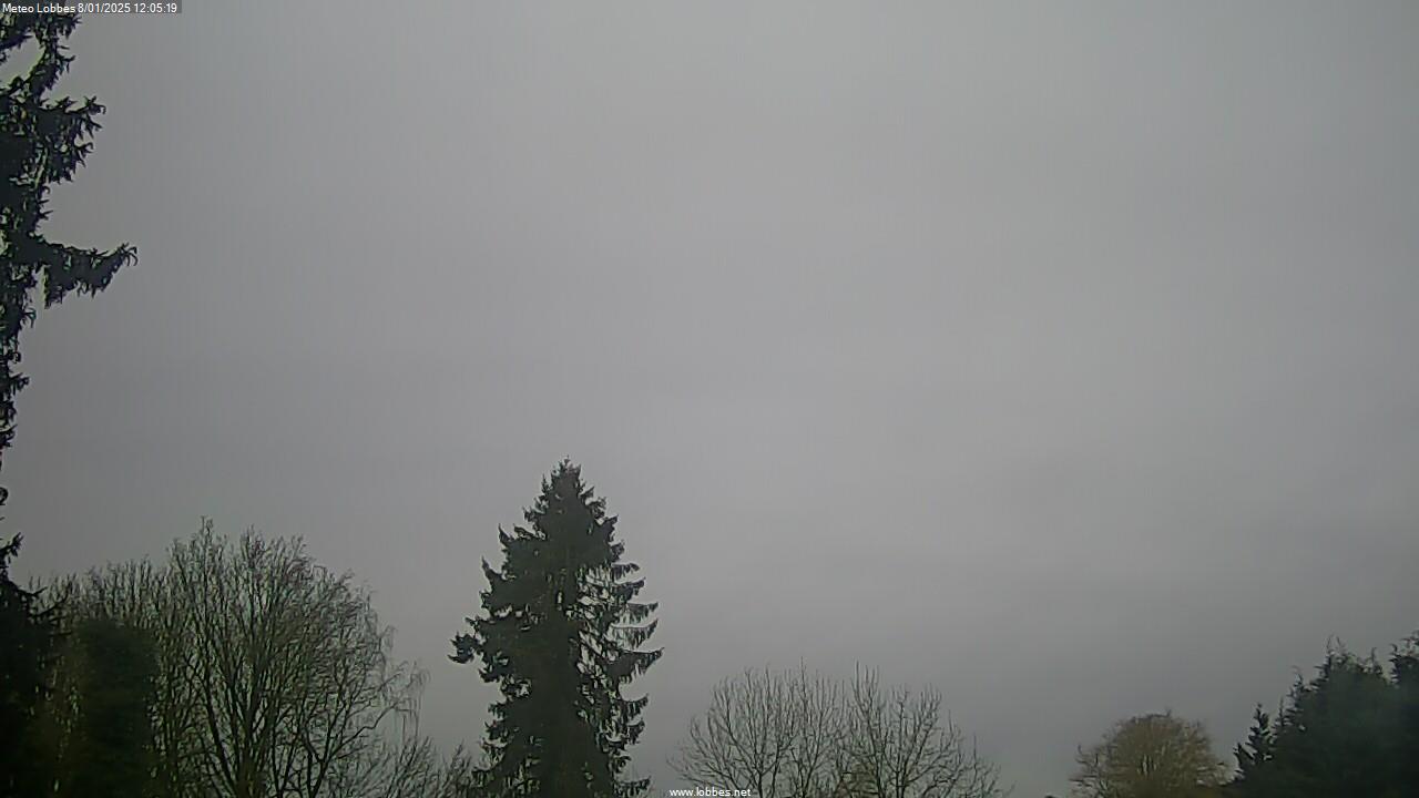 Météo Lobbes webcam 2025-01-08