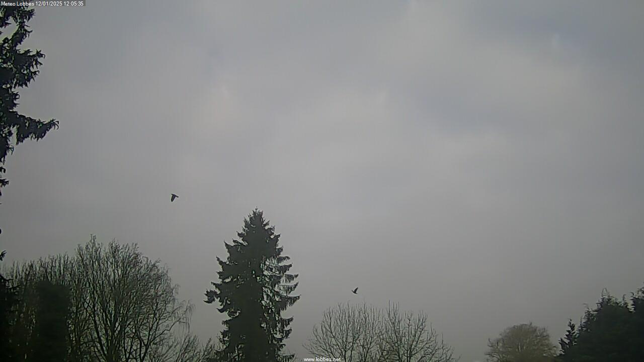 Météo Lobbes webcam 2025-01-12